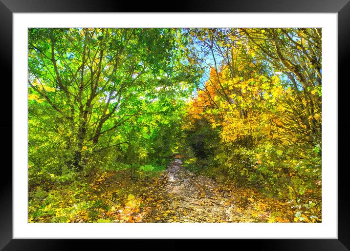 Autumnal Forest Path Art Framed Mounted Print by David Pyatt