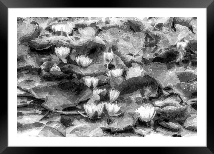 Water Lily Art Framed Mounted Print by David Pyatt