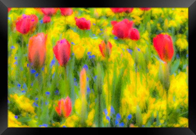 Pastel Summer Flowers  Framed Print by David Pyatt