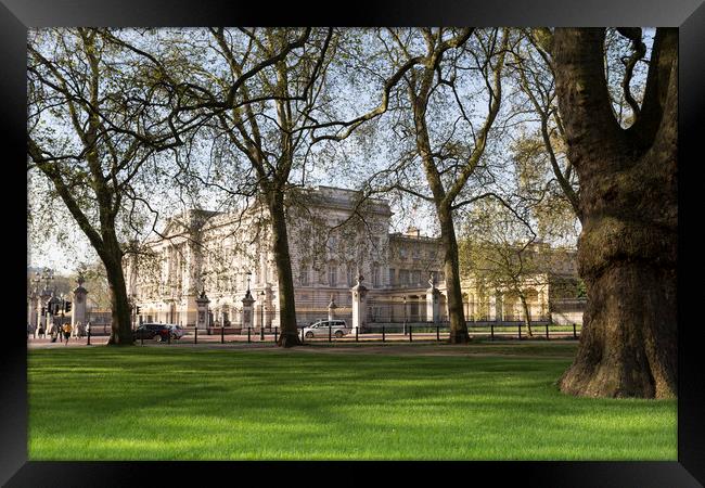 Buckingham Palace Through The Trees Framed Print by David Pyatt