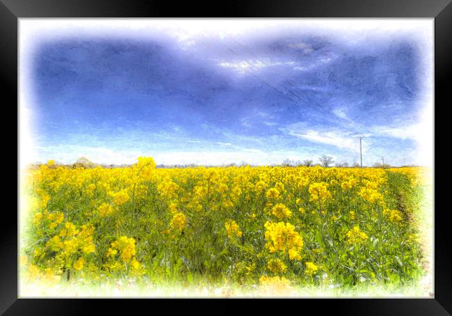 Yellow Fields Of Summer Art Framed Print by David Pyatt