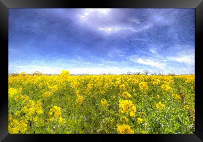 Yellow Fields Of Summer Art Framed Print by David Pyatt