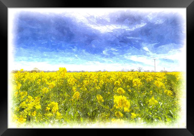 Fields Of Summer Art Framed Print by David Pyatt