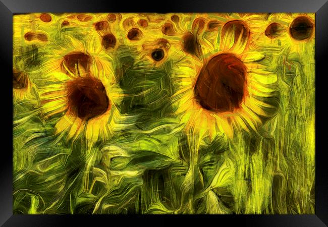 Sunflowers Abstract Van Gogh Framed Print by David Pyatt