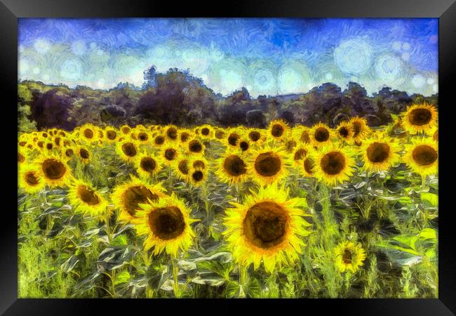 Sunflowers Van Goth Framed Print by David Pyatt