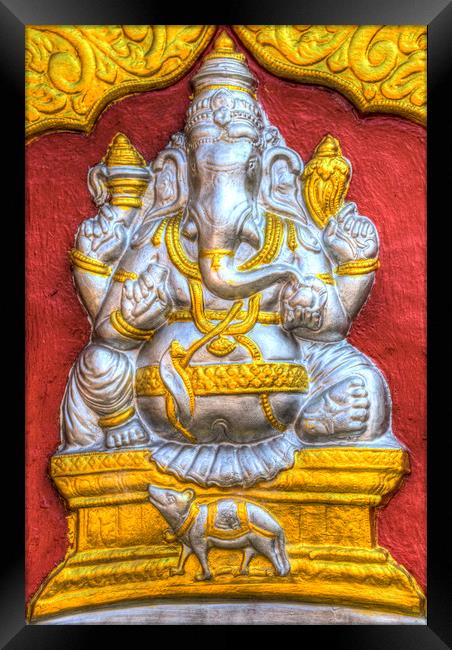 Indian Temple Elephant  Framed Print by David Pyatt