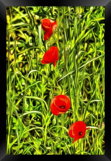 Van Goth Poppys Framed Print by David Pyatt