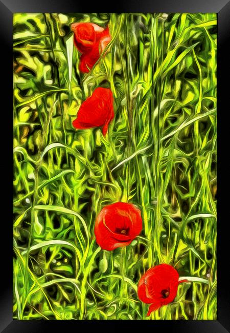 Poppys Van Gogh Art Framed Print by David Pyatt