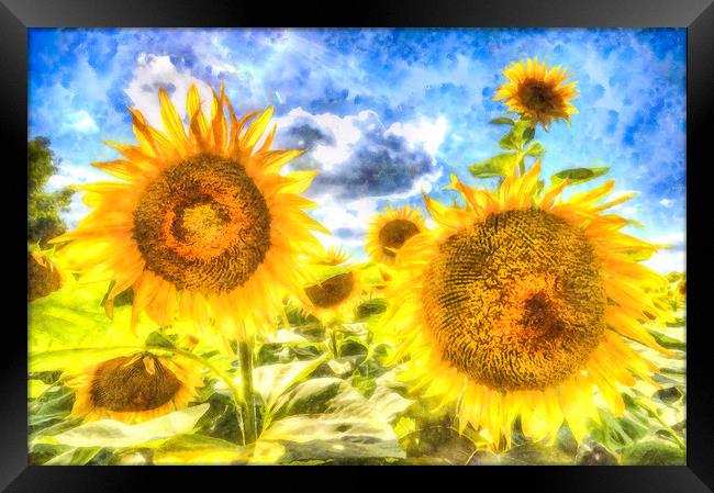 Summer Sunflowers Art Framed Print by David Pyatt