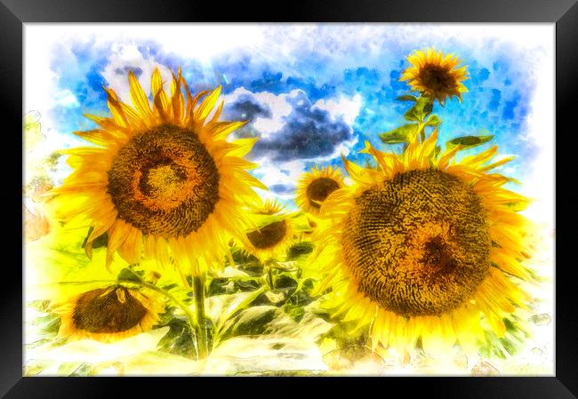 Sunflowers Art Framed Print by David Pyatt