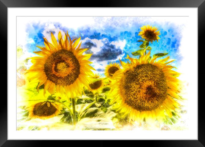 Sunflowers Art Framed Mounted Print by David Pyatt