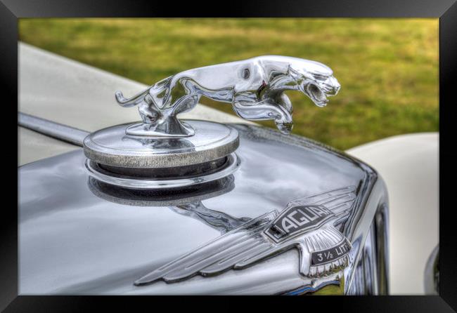 Jaguar Car Classic Car Framed Print by David Pyatt