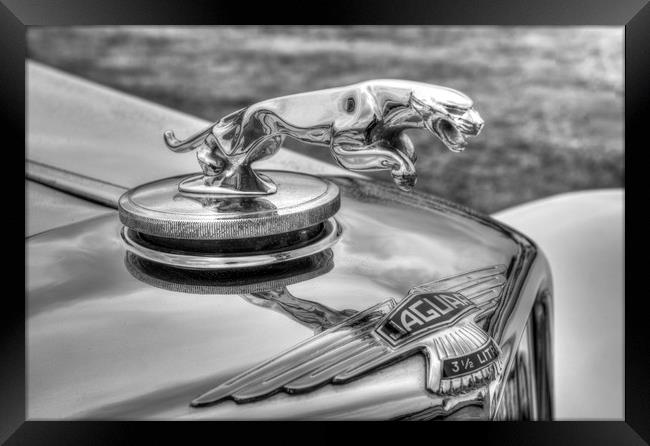 Jaguar Classic Car Framed Print by David Pyatt