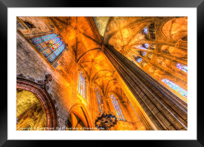 Barcelona Cathedral  Framed Mounted Print by David Pyatt