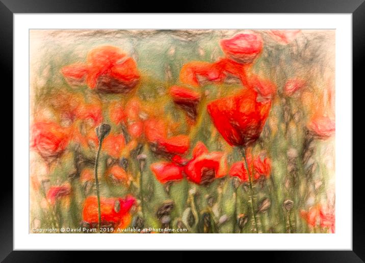  Poppy's Pastel Art Framed Mounted Print by David Pyatt