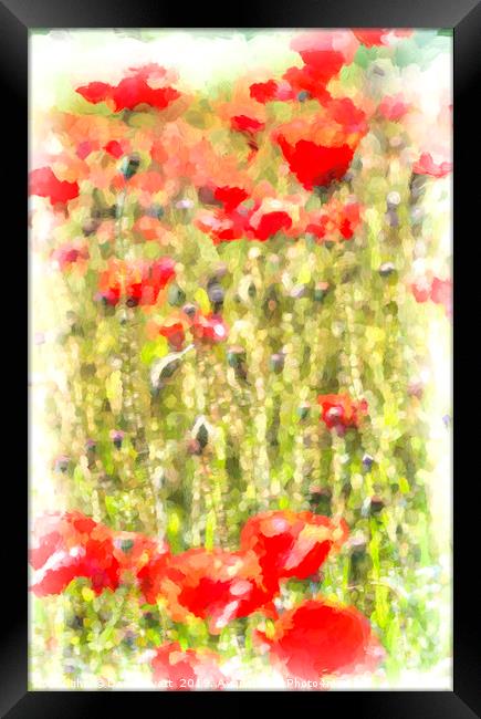 Poppy Meadow Monet Framed Print by David Pyatt
