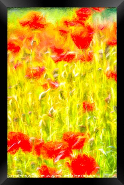 Poppy Meadow Dreams Framed Print by David Pyatt