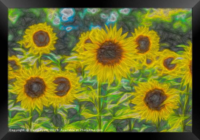 Art Of The Sunflower Framed Print by David Pyatt
