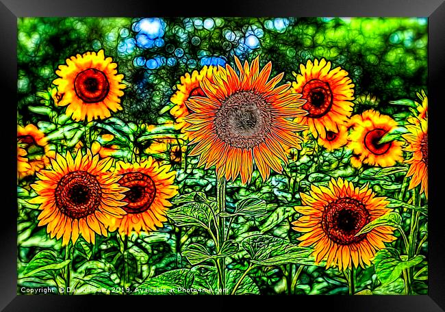 Sunflowers Stained Glass Framed Print by David Pyatt