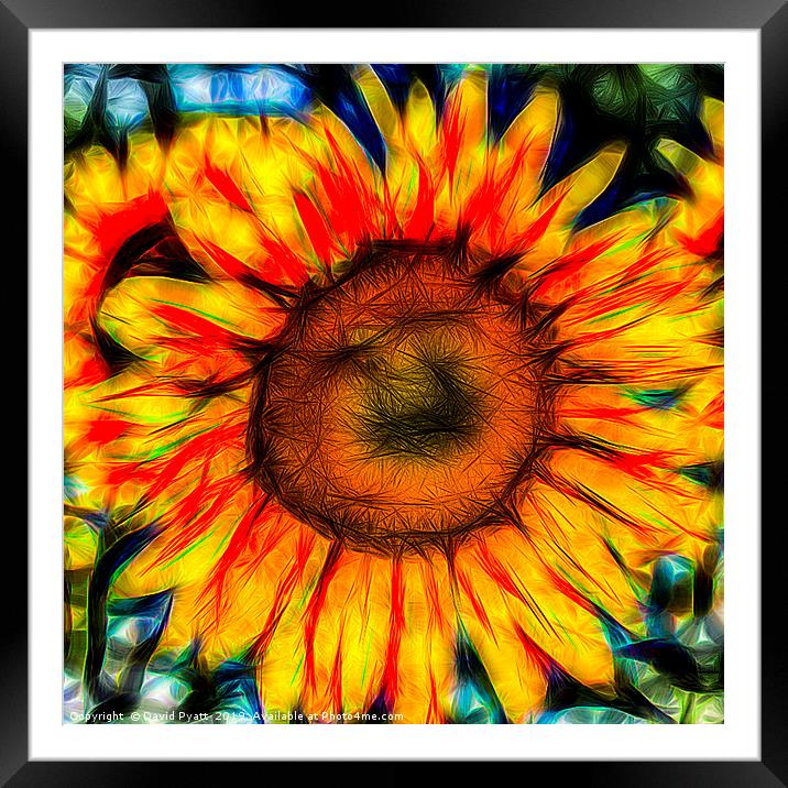 Single Sunflower Art Framed Mounted Print by David Pyatt