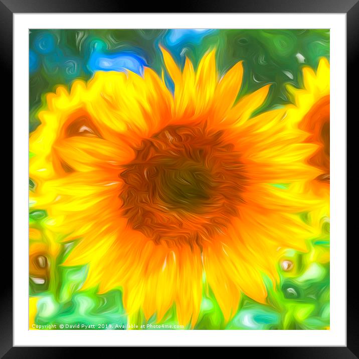 Pastel Sunflower Art Framed Mounted Print by David Pyatt