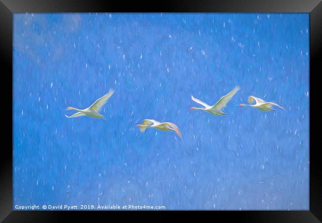 Swans Flying Art Framed Print by David Pyatt