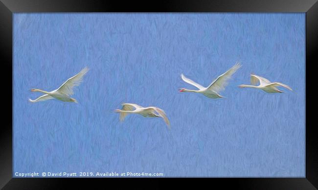 Flying Swans Art Panorama  Framed Print by David Pyatt