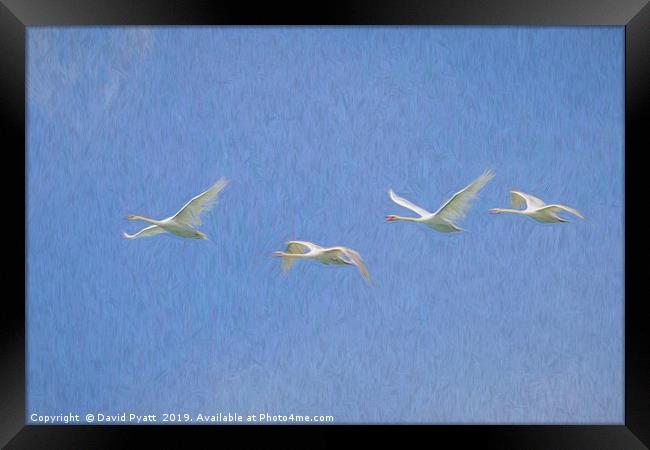 Flying Swans Art Framed Print by David Pyatt