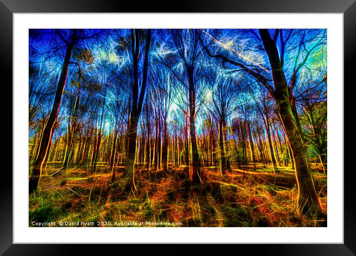 Forest Mystical Art Framed Mounted Print by David Pyatt