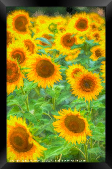 Sunflower Field Art Framed Print by David Pyatt