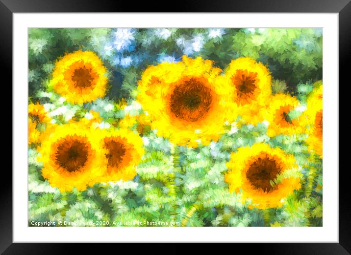 Sunflower Dreams Art Framed Mounted Print by David Pyatt