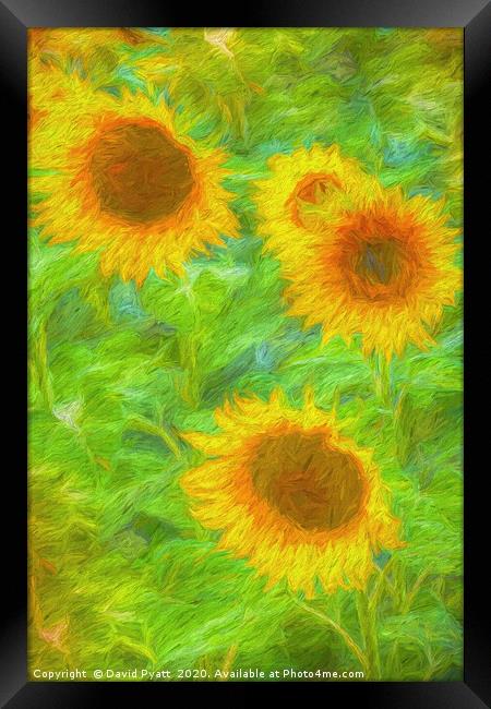 Sunflower Art        Framed Print by David Pyatt