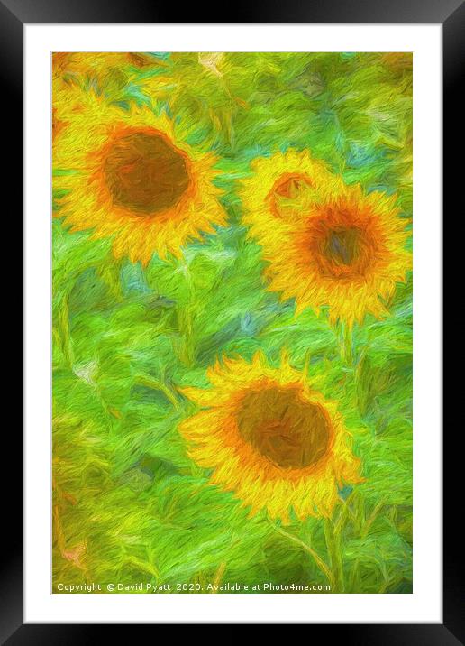 Sunflower Art        Framed Mounted Print by David Pyatt