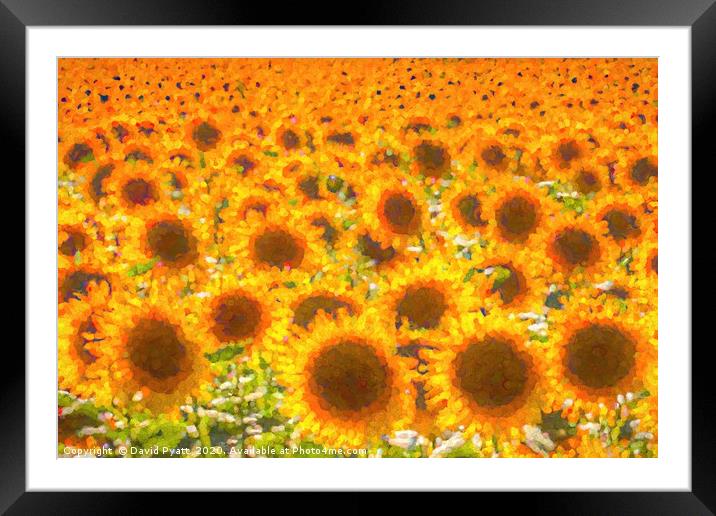 Sunflower Abstract Dreams  Framed Mounted Print by David Pyatt