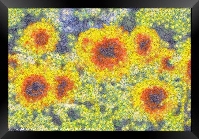 Sunflowers Starry Night Framed Print by David Pyatt