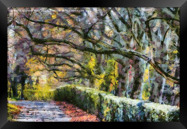Sleepy Hollow In Autumn Monet Framed Print by David Pyatt