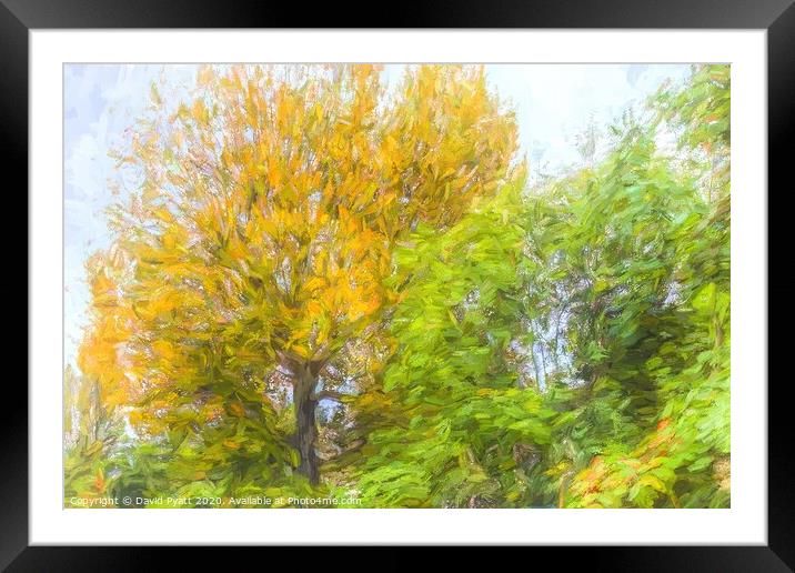 Autumn Tree Art Framed Mounted Print by David Pyatt