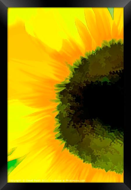 Sunflower Abstraction Art Framed Print by David Pyatt