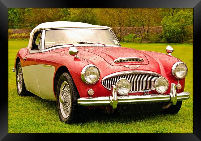 Austin Healey calssic sports car Framed Print by eric carpenter