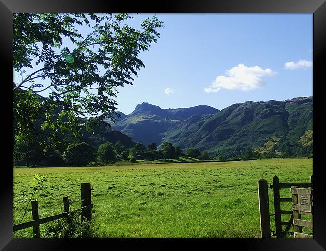 langdale pike Framed Print by eric carpenter