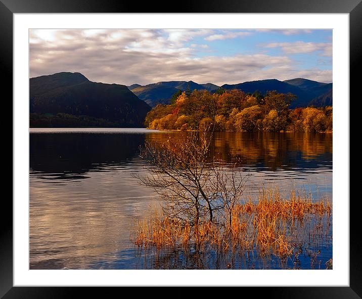 Rydal Gold Framed Mounted Print by eric carpenter