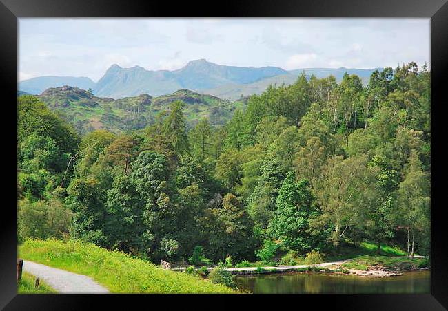 langdales from tarn hows Framed Print by eric carpenter