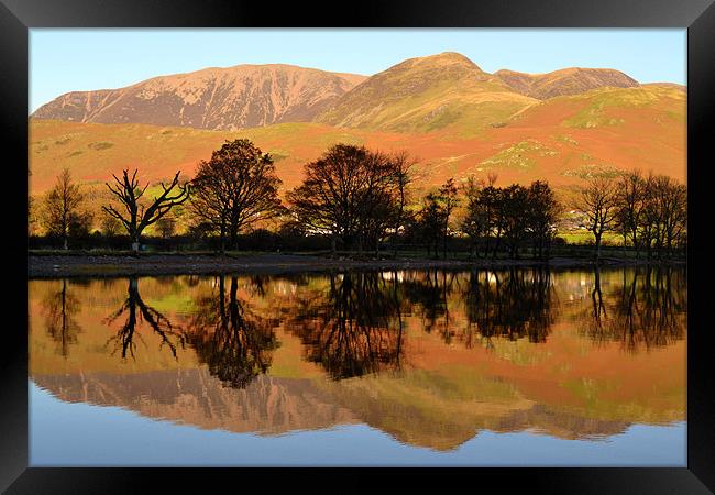 Reflections on Buttermere Framed Print by lisa wills