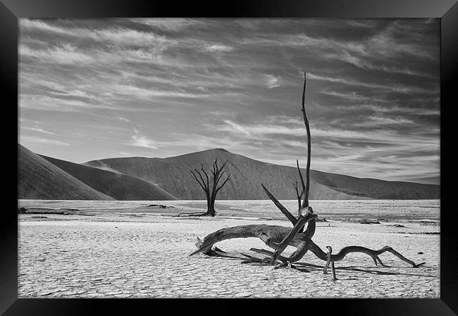 Dead Tree Desert Namibia Framed Print by Ian McMurray