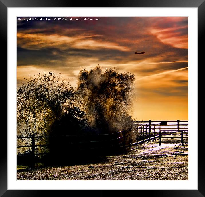 Wings Above The Wave Framed Mounted Print by Natalie Durell