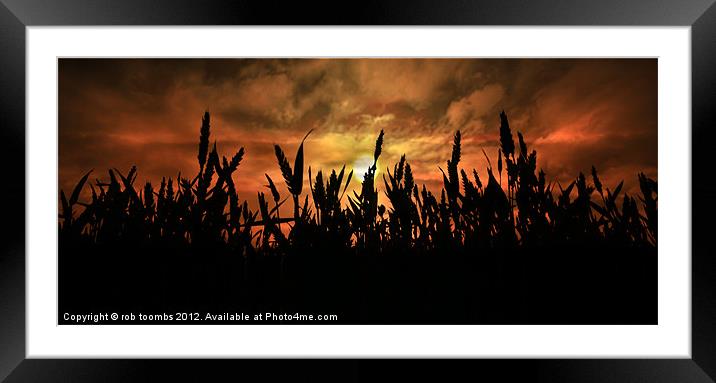 SUNSET FIELDS Framed Mounted Print by Rob Toombs
