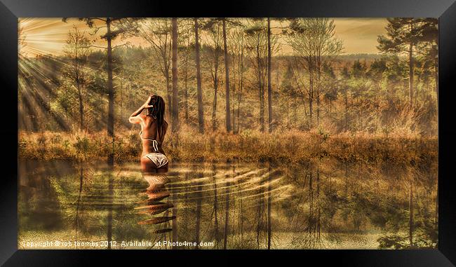 Bathing in the morning sun Framed Print by Rob Toombs