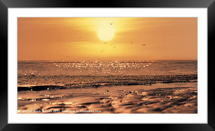 THE MORNING TIDE Framed Mounted Print by Rob Toombs