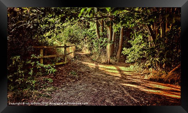 THE PATH Framed Print by Rob Toombs