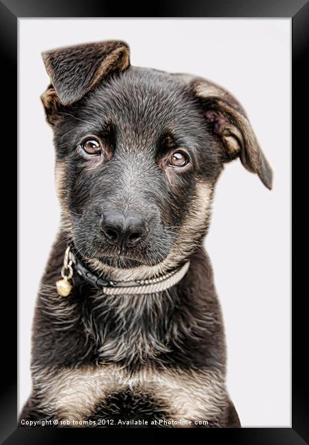 A PUP CALLED DIESEL Framed Print by Rob Toombs